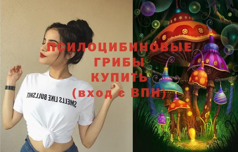 Псилоцибиновые грибы прущие грибы Бежецк